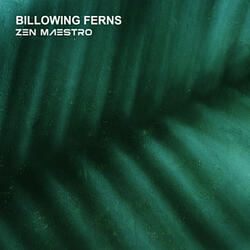Billowing Ferns