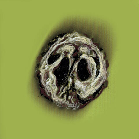 Black Walnut