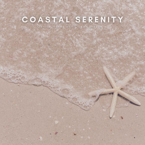 Coastal Serenity: Gentle Waves and Ocean Breeze