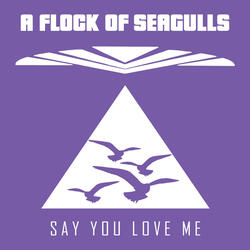 Say You Love Me
