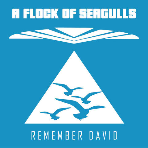 Remember David