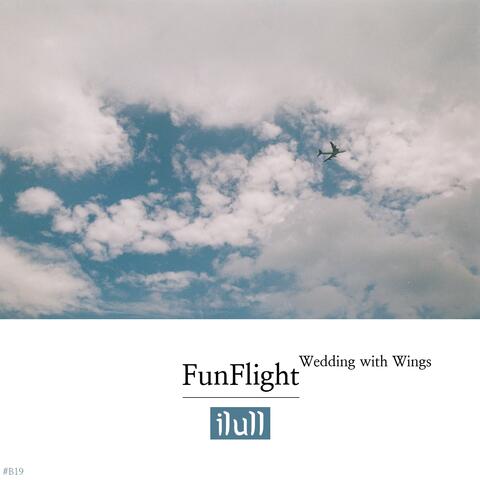 Fun Flight: Wedding with Wings