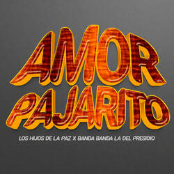 Amor Pajarito