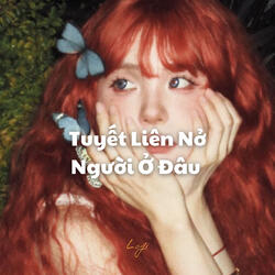 Tuyết Liên Nở Người Ở Đâu (Lofi)