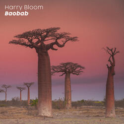 Baobab