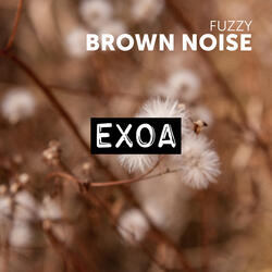 Fuzzy Brown Noise