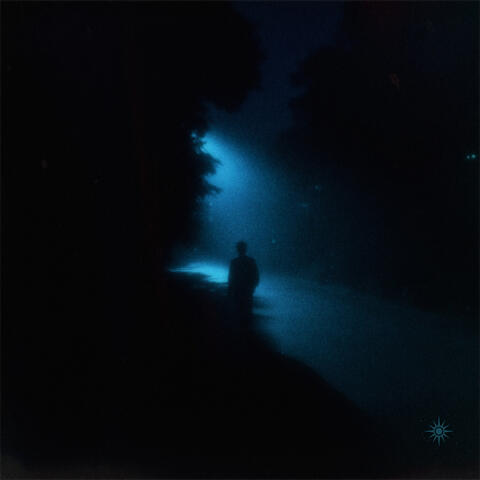 shards of the night