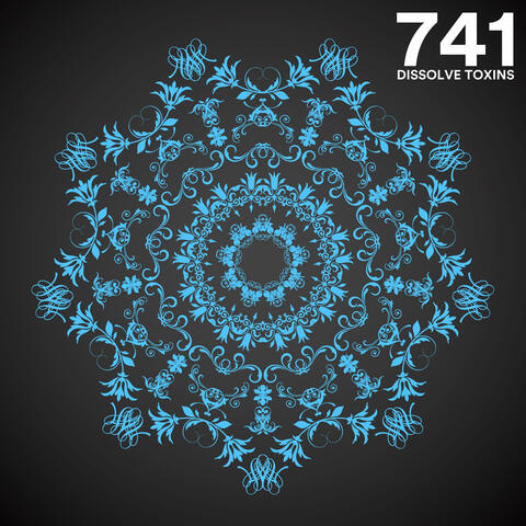 741 Hz Dissolve Toxins