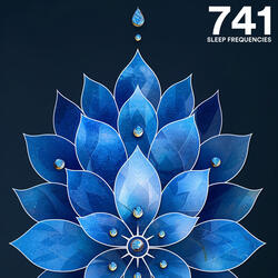 741 Hz Dissolve Toxins