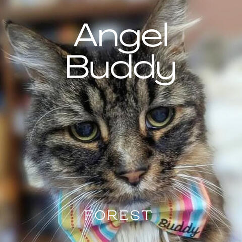 Angel Buddy