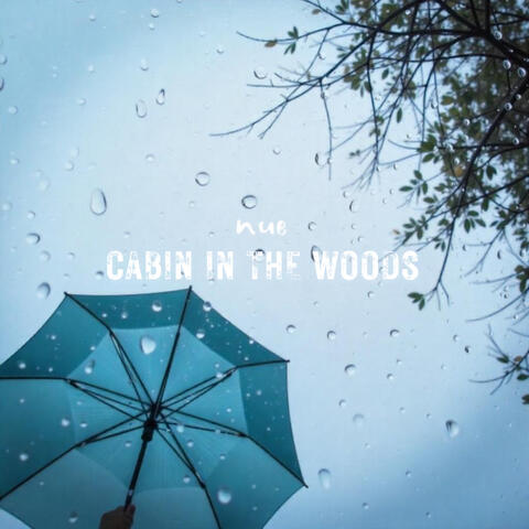 Cabin in The Woods