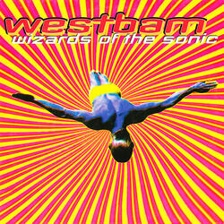 Wizards Of The Sonic