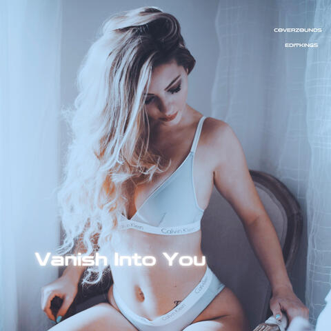 Vanish Into You