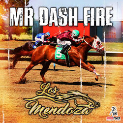 Mr Dash Fire