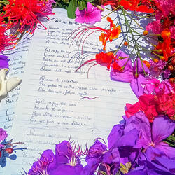 Eu Gosto Muito De Você