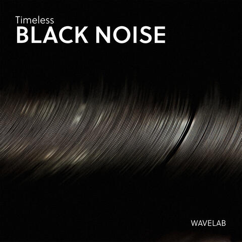 Timeless Black Noise