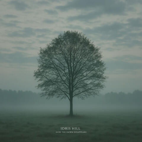 how the dawn disappears