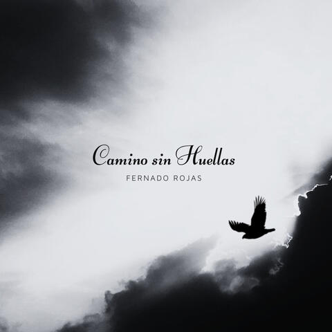 Camino sin Huellas