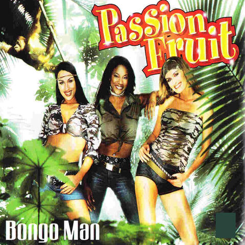 Bongo Man
