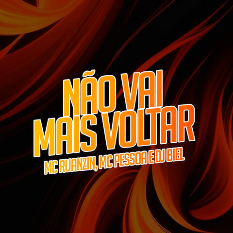 Não Vai Mais Voltar