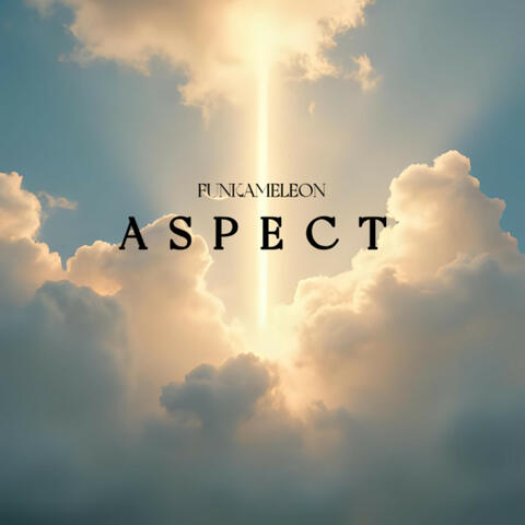 Aspect