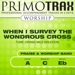 When I Survey the Wondrous Cross (Medium Key - C - without Backing Vocals) [Performance Backing Track]