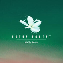 Lotus Forest