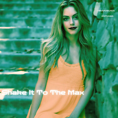 Shake It To The Max