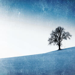 Illuminated Reverie