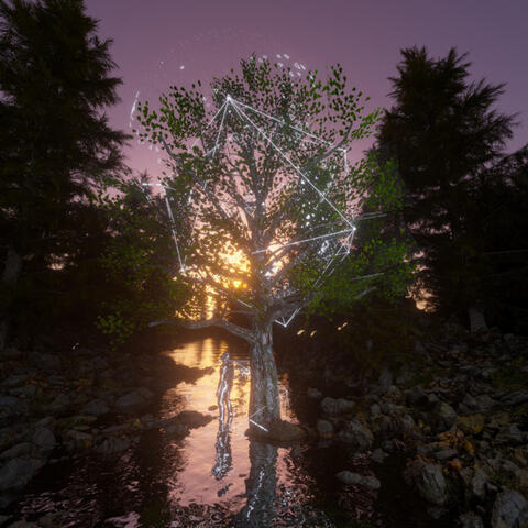 Circle of Trees