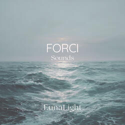 Forci (White Noise)