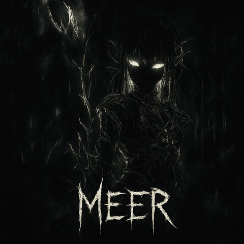 MEER