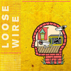 Loose Wire