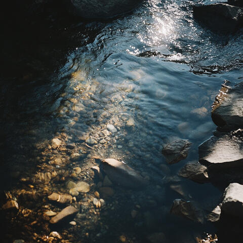 Tranquil