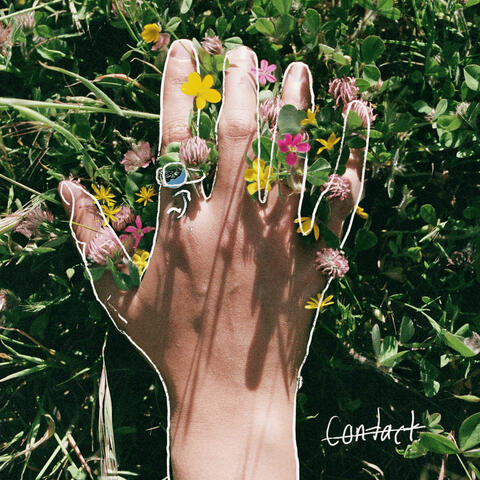Contact