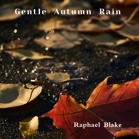 Gentle Autumn Rain