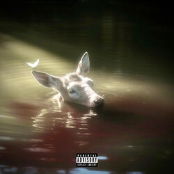 still thinking about you