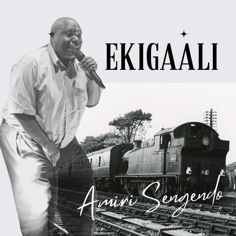 Ekigaali