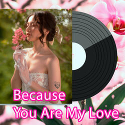 Because You Are My Love