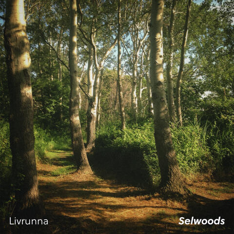 Selwoods