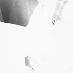 LOVE ME BACK
