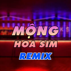Mộng Hoa Sim PROG