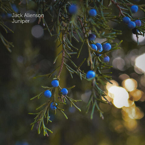 Juniper