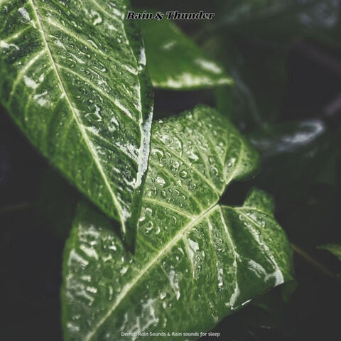 Rain & Thunder