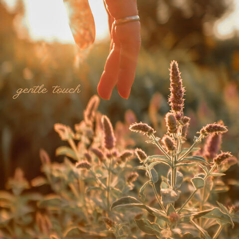 gentle touch