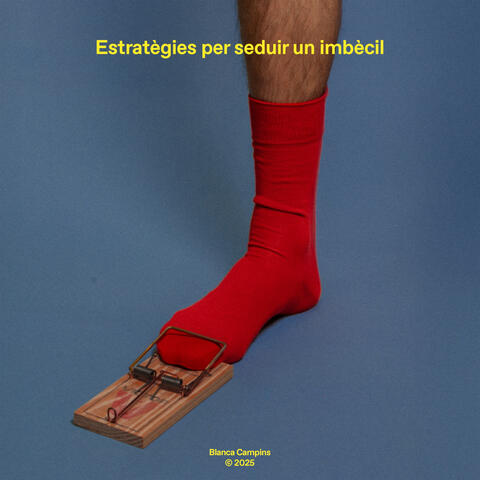 Estratègies per seduir un imbècil