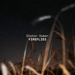 Fireflies