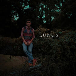 Lungs