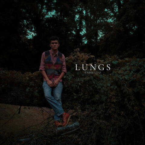 Lungs