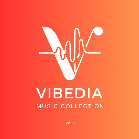 Vibedia Music Collection - Vol. 1